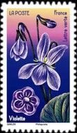 Violet Flower and Violet Candy