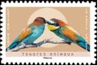 European Bee-Eater (Merops apiaster)