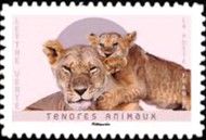 Lions