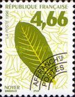 Walnut Leaf