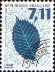 Elm Leaf