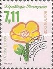 Buttercup (Ranunculus acris)