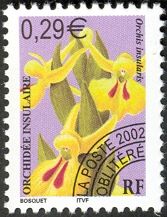 Orchis insularis