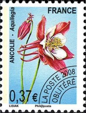 Columbine (Aquilegia)