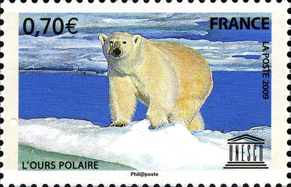 Polar Bear (Ursus maritimus)