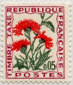 Wildflowers: Centaur knapweed