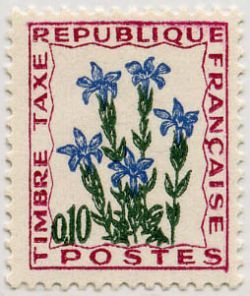Wildflowers: Gentian