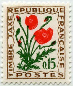 Wildflowers: Poppies