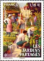 Shared Gardens