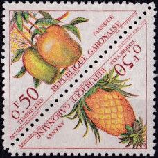 Pineapple (Ananas sativus)