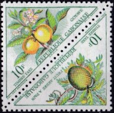 Guavas