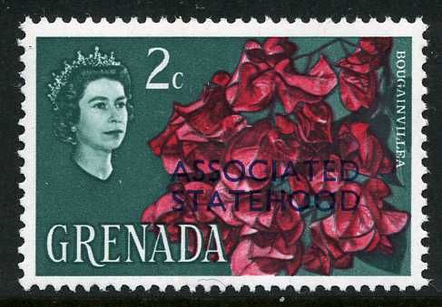 Bougainvillea (overprinted)