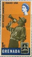Boy Scout