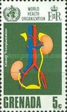 Kidney Transplantation