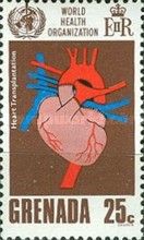 Heart Transplantation