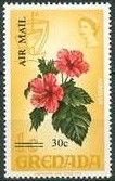 Hibiscus