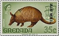 Nine-banded Armadillo (Dasypus novemcinctus)