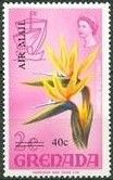 Bird of paradise flower (Strelitzia reginae)