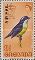 Bananaquit (Coereba flaveola)
