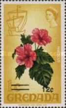 Hibiscus