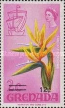 Bird of paradise flower (Strelitzia reginae)