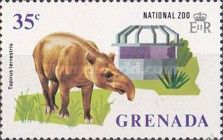 Lowland Tapir (Tapirus terrestris)