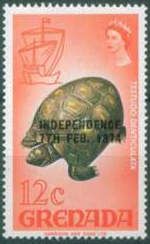 Yellow-footed Tortoise (Testudo denticulata)