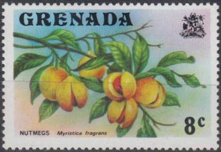 Nutmegs (Myristica fragans)