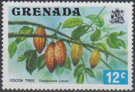 Cocoa (Theobroma cacoa)