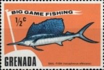 Atlantic Sailfish (Istiophorus albicans)