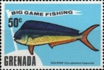 Common Dolphinfish (Coryphaena hyppurus)