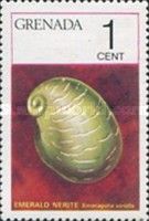 Emerald Nerite (Smaragdia viridis)