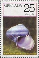 Purple Sea Snail (Janthina janthina)