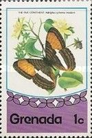 Five Continent Butterfly (Adelpha cytherea)