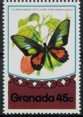 Spear-winged Cattleheart (Parides neophilus)