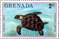 Hawksbill Turtle (Eretmochelys imbricata)