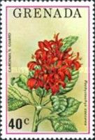 Cardinal’s Guard (Pachystachys coccinea)