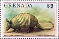 Nine-banded Armadillo (Dasypus novemcinctus