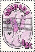 Volleyball