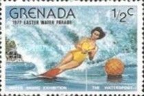 Water skiing exhibition