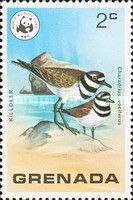 Killdeer (Charadrius vociferus)