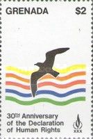 Bird in Flight