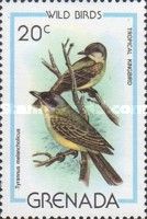Tropical Kingbird (Tyrannus melancholicus)