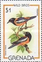 Troupial (Icterus icterus)