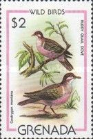 Ruddy Quail-Dove (Geotrygon montana)