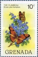 Julia Butterfly (Dryas iulia framptoni)