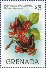 Polydamas Swallowtail (Battus polydamas)