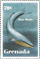 Blue Whale (Balaenoptera musculus)