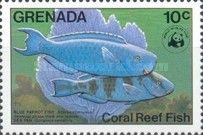 Blue Parrotfish (Scarus coeruleus)