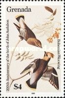 Bohemian Waxwing (Bombycilla garrulus)